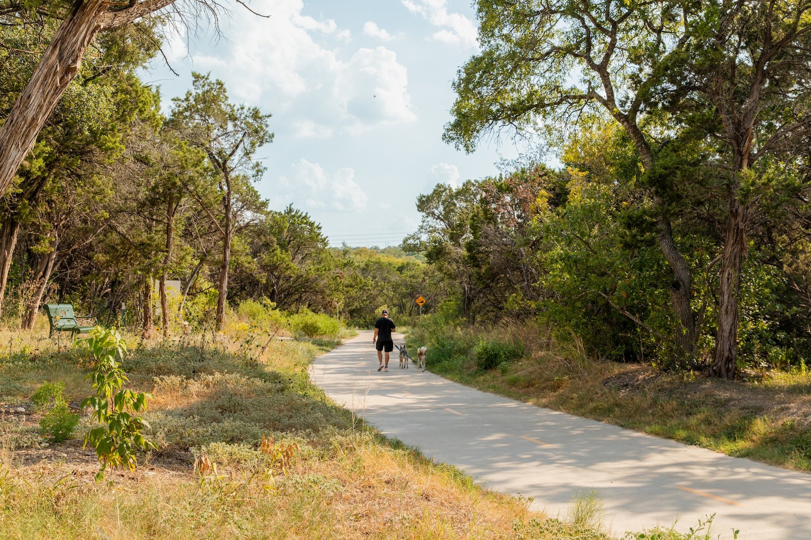 Walnut Creek Metro Park a person walking dogs on a path outside